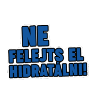 szentkiralyiasvanyviz water gym viz egeszseg Sticker