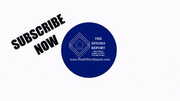 TheDitororeport the ditoro report GIF