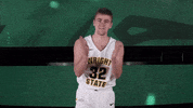 Ncaa Sports Sport GIF by Wright State University Athletics
