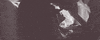 anon GIF