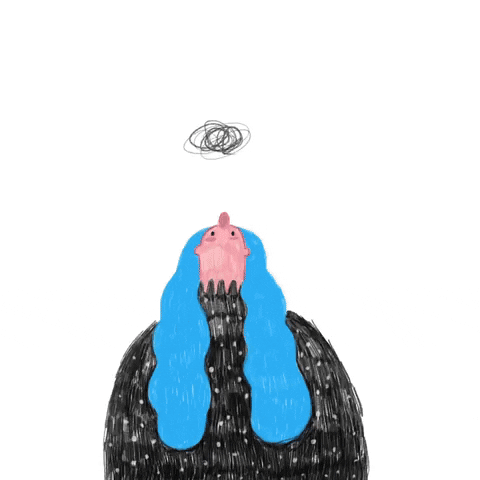 narjesmohammadii giphyupload giphystrobetesting GIF