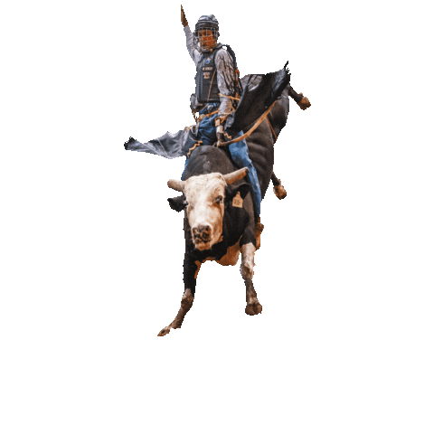 cowtowncoliseum bullriding bullrider cowtown stockyards Sticker