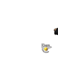 Faba Fabiana Sticker by RadiomarFM