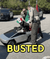 Dog Mexico GIF by SWAGGY WOLFDOG