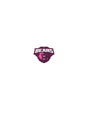 Bears Sticker by F45 Kapuk North