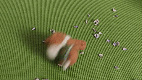 maylisg-kdan giphygifmaker cria cria online child rights in action GIF