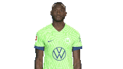 Three Points Win Sticker by VfL Wolfsburg