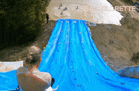 Rose Love GIF by The Bachelorette Australia