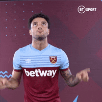 Cant Hear You Premier League GIF by BT Sport