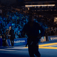 Worlds GIF by Art of Jiu Jitsu