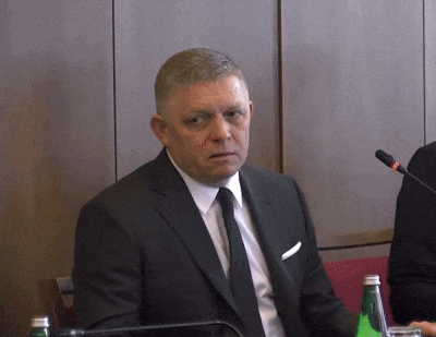 kristnajanov giphyupload GIF