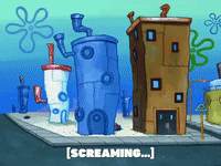 season 5 GIF by SpongeBob SquarePants