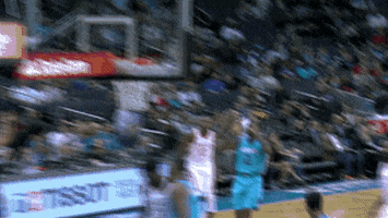 charlotte hornets basketball GIF by NBA