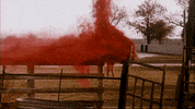 deadly blessing GIF