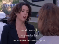 season 4 netflix GIF by Gilmore Girls 
