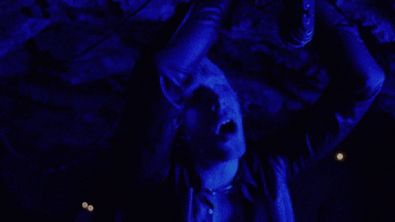 5sos GIF by 5 Seconds of Summer