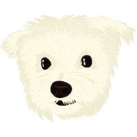 Thor Maltese Sticker by With Love & Lace