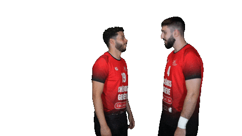 Chenois Sticker by CS Chênois Genève Handball