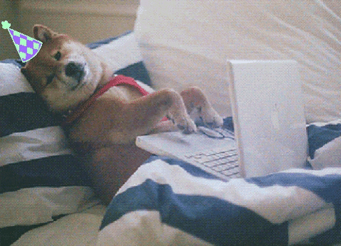 jasminegrujovski giphygifmaker giphyattribution GIF