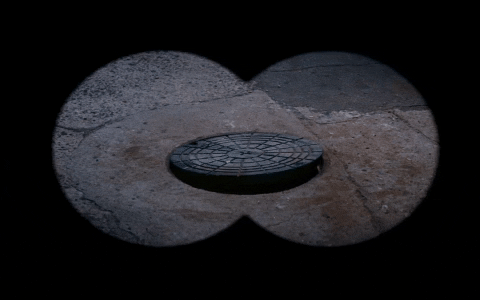 helenaaboim giphygifmaker GIF