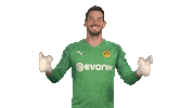 Happy Borussia Dortmund Sticker by Bundesliga