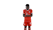 Football Sport Sticker by FC Bayern Munich
