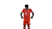 Football Sport Sticker by FC Bayern Munich