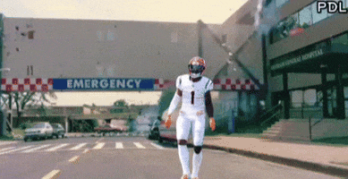 Chase GIF by The Undroppables