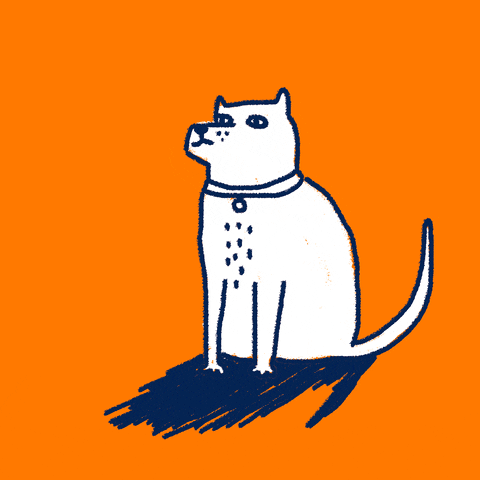 happy dog GIF by Kochstrasse™