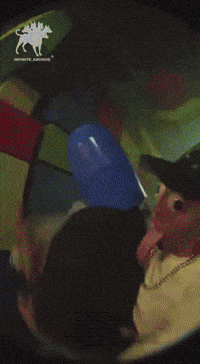 Shape GIF
