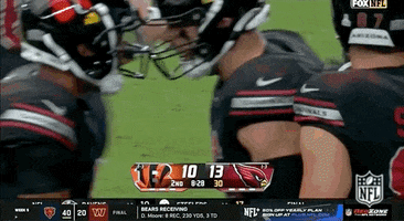National Football League GIF by NFL