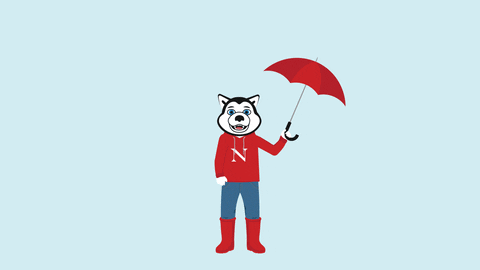 GIF by Northeastern University
