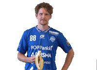 F-liiga floorball salibandy innebandy f-liiga Sticker