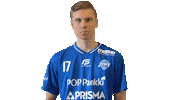 F-liiga floorball salibandy innebandy f-liiga Sticker