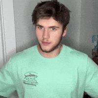 Red Dragons Dance GIF