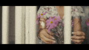 guitar love GIF by Universal Music Africa