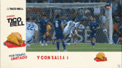 Costa Rica La Sele GIF by TD Más