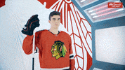 Chicago Blackhawks GIF by NBC Sports Chicago
