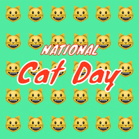Kittens Cat Gif GIF by mtv