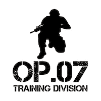 Fire Work Sticker by OP.07 TRAINING DIVISION