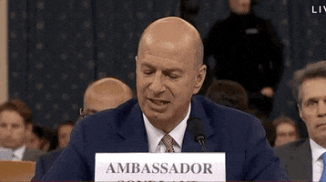 Quid Pro Quo Impeachment GIF