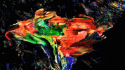 GIF by clickbecause