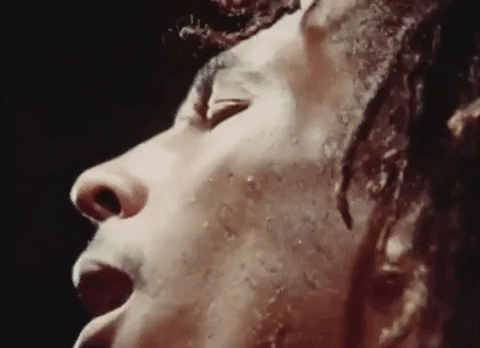 Bob Marley And The Wailers Reggae GIF by Bob Marley