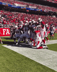 James Conner Football GIF by Arizona Cardinals