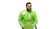Happy Handball Sticker by HCB Karviná