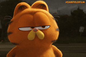 Sport Cat GIF by Sony Pictures Germany