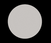 New Arrival Bridal Shop GIF by Magnolia Bridal