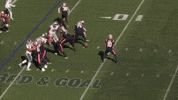 Mack Hollins Football GIF by New England Patriots