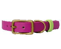 Dog Collar Sticker by Paws Of Kow