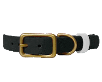 Dog Collar Sticker by Paws Of Kow